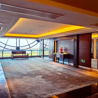 Tappeto 3D a mano soffocato per hotel di lusso