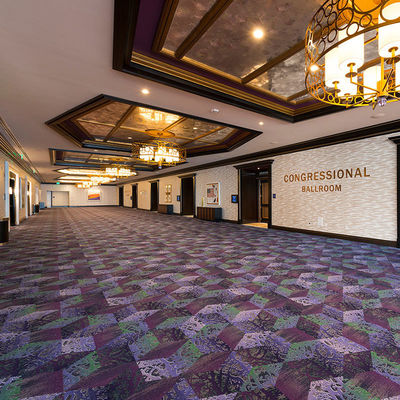 Tappeto di Axminster per cinema Sala da banchetto e tappeti da muro a muro