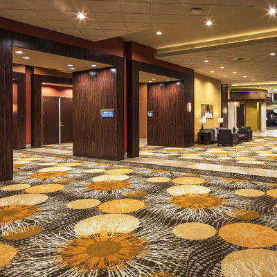 Colore personalizzato di lana di lusso da parete a parete tappeto Axminster per 5 stelle Alfombras Hotel