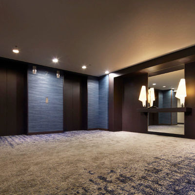 Moderno Silverstone Luxury Hotel Tapis Tapis De Saloon Cinema Teatro Axminster Tapis per Casinò