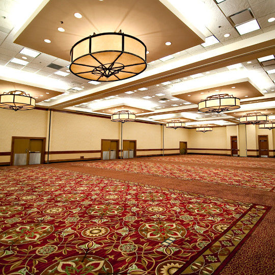 Tapis d'albergo 80% lana 20% nylon Pavimento della sala da banchetto Axminster Personalizzabile OEM ODM